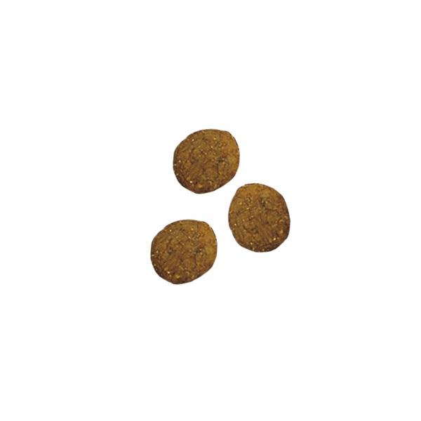 ピュリナワン　健康マルチケア　１１歳以上　サーモンツナ 