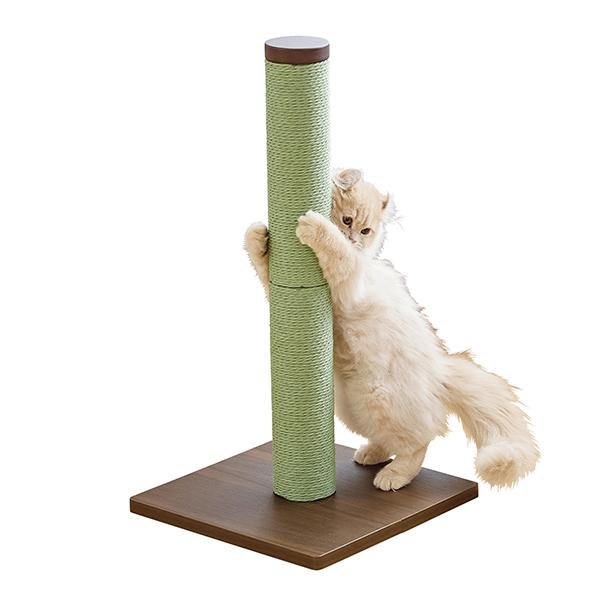 紙なわカラーポール 手で持っても抱きしめてもチクチクしないにゃ（グリーン）