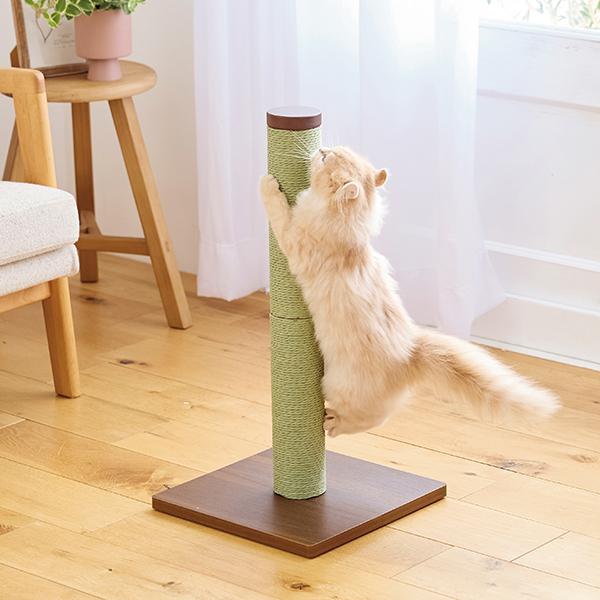 紙なわカラーポール グリーン