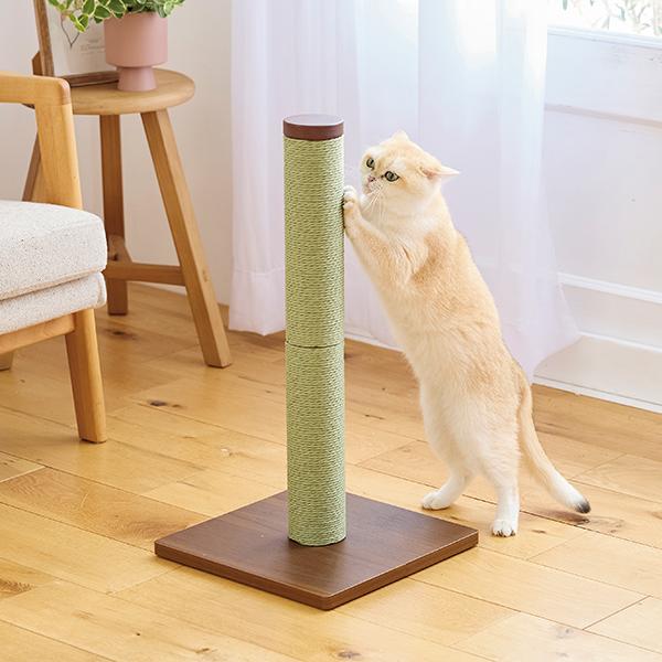 紙なわカラーポール グリーン