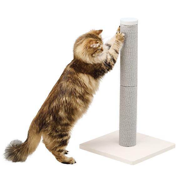 紙なわカラーポール 新色登場にゃのだ！（グレー）