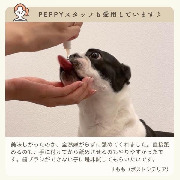ナノウエルオーラルケア（愛犬用） 