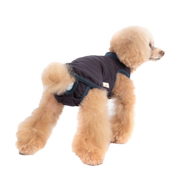 うんちキャッチおむつカバープーぱんつ（Ｒ） NS着用