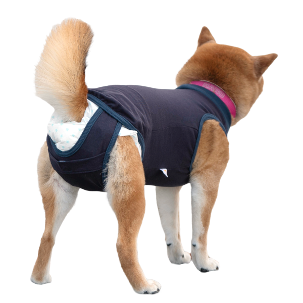 うんちキャッチおむつカバープーぱんつ（Ｒ） 2NL着用