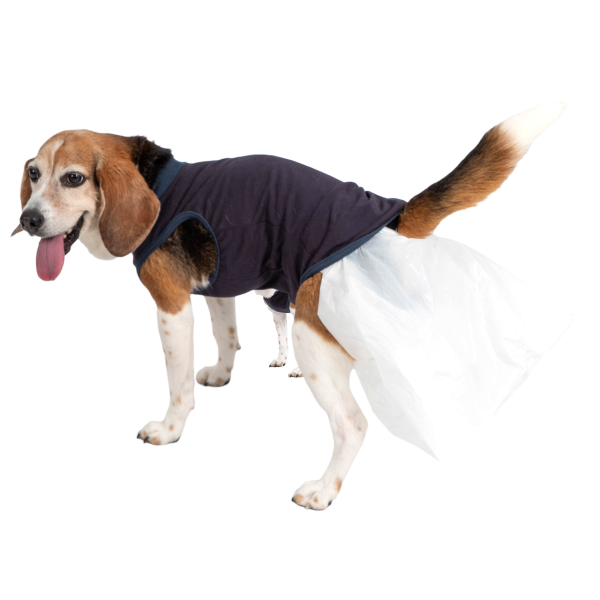 うんちキャッチおむつカバープーぱんつ（Ｒ） 2NL着用