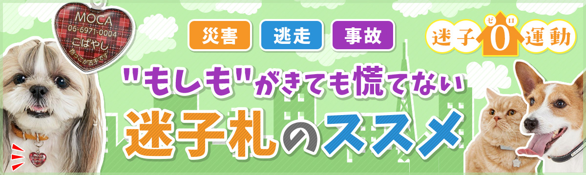 迷子札のススメ