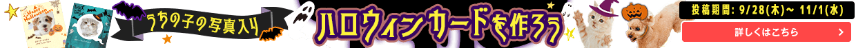 ハロウィンカードイベント