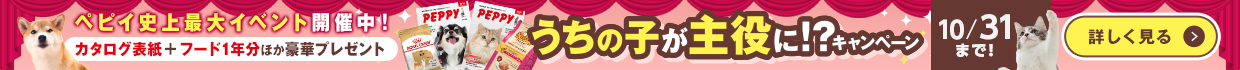 うちの子が主役に！？キャンペーン