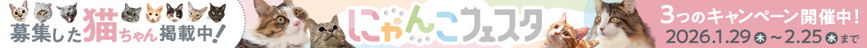 にゃんこフェスタ