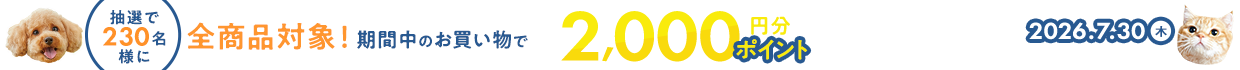 ＼最大2000PT還元／いつものお買い物でポイントが当たる！