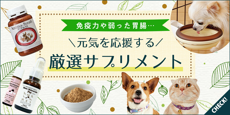 サプリメント特集 愛犬 愛猫にオススメしたいサプリメントをご紹介 ペット用品の通販サイト ペピイ Peppy サプリメント特集 愛犬 愛猫にオススメしたいサプリメントをご紹介 ペット用品の通販サイト ペピイ Peppy
