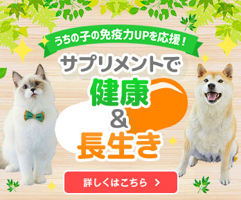 愛犬 愛猫の免疫力アップに サプリでうちの子の健康を応援 愛犬 愛猫の免疫力アップに サプリでうちの子の健康を応援