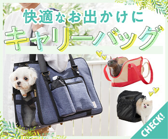 犬猫用キャリーバッグ特集】快適な通院・お出かけを叶えるおすすめ ...