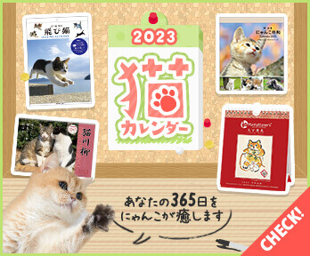 23年 可愛すぎる猫カレンダーを集めました