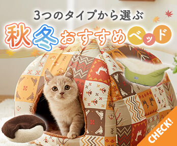 猫ベッド特集 3つのタイプから選ぶ 秋冬おすすめ猫ベッドまとめ ペット用品の通販サイト ペピイ Peppy