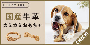 国産牛皮カミカミおもちゃ