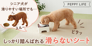 シニア犬でも、しっかり踏んばれる「滑らないシート」