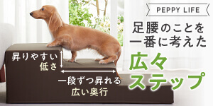 関節通やヘルニア予防に「シニアにやさしい広々ステップ」