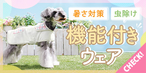 【犬ウェア特集】暑さ対策＆防虫ウェアで春夏を快適に過ごそう
