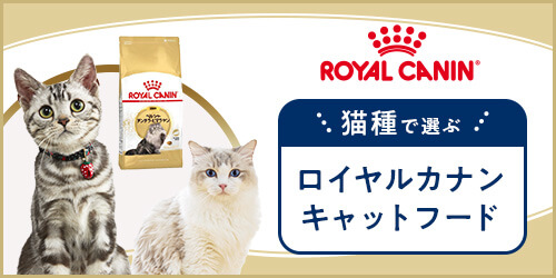 猫種で選ぶロイヤルカナンキャットフード