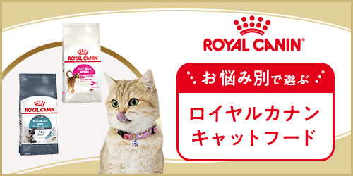 お悩み別で選ぶロイヤルカナンキャットフード
