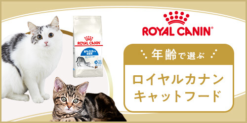 年齢で選ぶロイヤルカナンキャットフード
