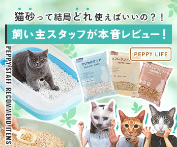 おすすめの猫砂は？比較してみた！ - ペット用品の通販サイト ペピイ
