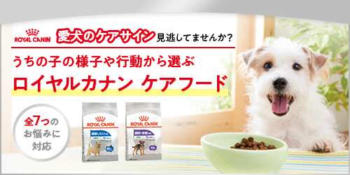 うちの子の様子や行動から選ぶロイヤルカナンケアフード
