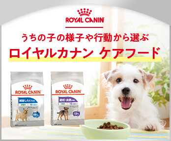 ロイヤルカナンケアフード～愛犬の様子や行動から選ぶ
