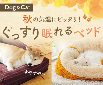 送料無料】Wakytu 猫 ねこ 犬 お出かけ ペット用バッグ ペットキャリーバッグ ペットリュック お散歩バッグ 首にやさしい アウトドア  すさまじい 旅行 通院 災害用 オシャレ 折りたたみ メッシュ 中型猫 大型猫 バッグ 通気性 両手解放