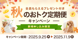 【全員300ptプレゼント付き】秋のおトク定期便キャンペーン