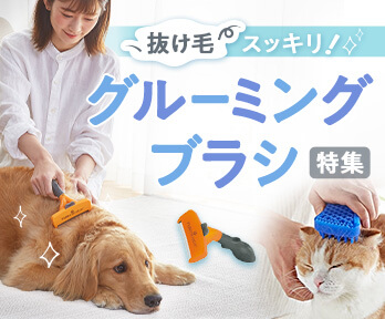 愛犬・愛猫のブラッシング特集】人気のブラシで換毛期の抜け毛スッキリ