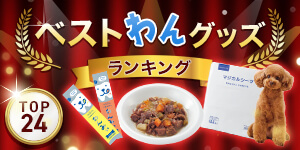 2025PEPPY★ベストわんグッズランキング