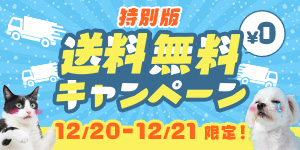 【12月限定】この週末だけゲリラ開催！送料無料キャンペーン中！