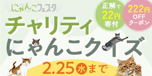 2月はニャンの月！全問正解で22円が寄付されるチャリティにゃんこクイズ開催中♪
