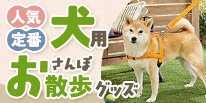 【犬具まとめ】人気＆定番お散歩グッズ一覧（ハーネス・首輪・リード・雑貨）
