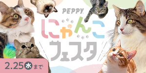 2月はニャンの月！【猫探し付き】PEPPYにゃんこフェスタポータル！猫様用CPを一挙実施するニャ～