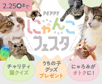 2月猫まみれ！チャリティ＆クーポン付き猫クイズやオリジナルグッズ