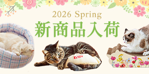 【にゃんこ】春夏の新作入荷しました。