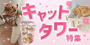 【春の新作追加】タイプや高さで選べる！最新キャットタワー特集