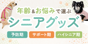 【愛犬の年齢やお悩み別で選ぶ】おすすめシニアアイテム特集