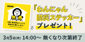 【先着1,000名様】『わんにゃん防災ステッカー』プレゼントキャンペーン