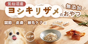 毎日のおやつで健康習慣！宮城県サメおやつ