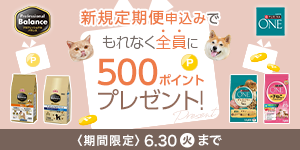 【新規定期便申込みptプレゼントキャンペーン】対象のフードブランドを定時便にして、500ptをもらおう！