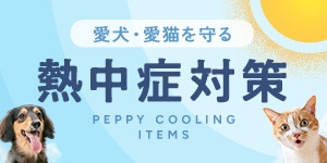 愛犬・愛猫を守る熱中症対策