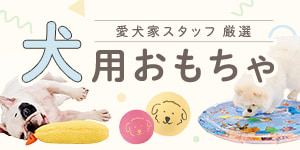 愛犬家スタッフ厳選 犬用おもちゃ
