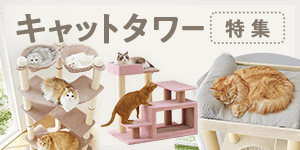 タイプや高さで選べる！キャットタワー特集