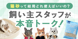 猫砂の最適解とは？飼い主スタッフが本音トーク