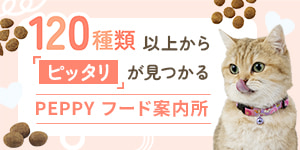 120種類以上からピッタリのフードが見つかる！猫ちゃん用PEPPY フード案内所