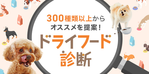 わんちゃん用ドライフード診断